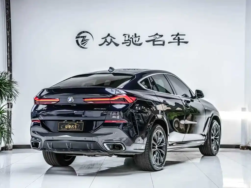 BMW X6 2021 — фото 10