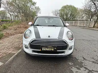 MINI MINI 2015