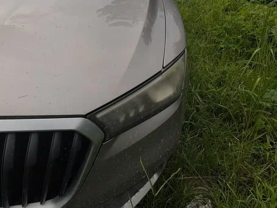 Borgward BX5 2019