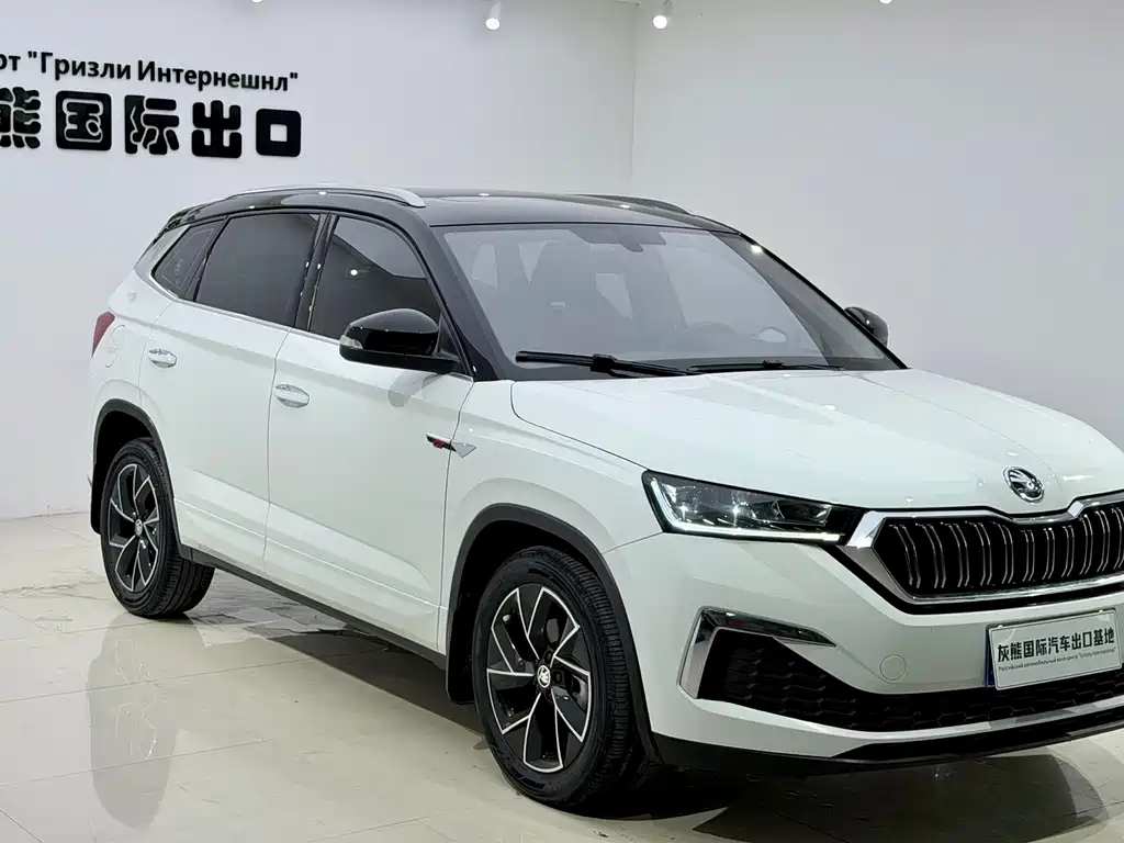 Skoda Kamiq 2024