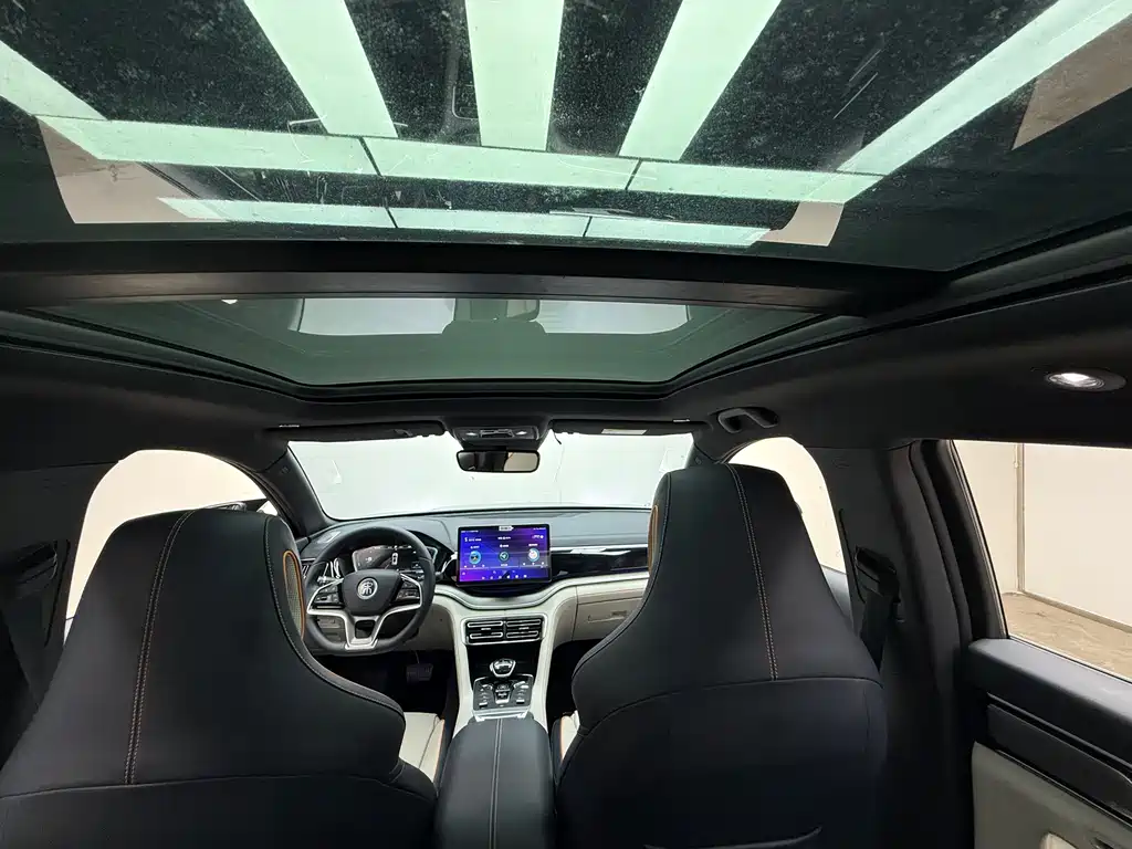 BYD PLUS New Energy 2023 — фото 15