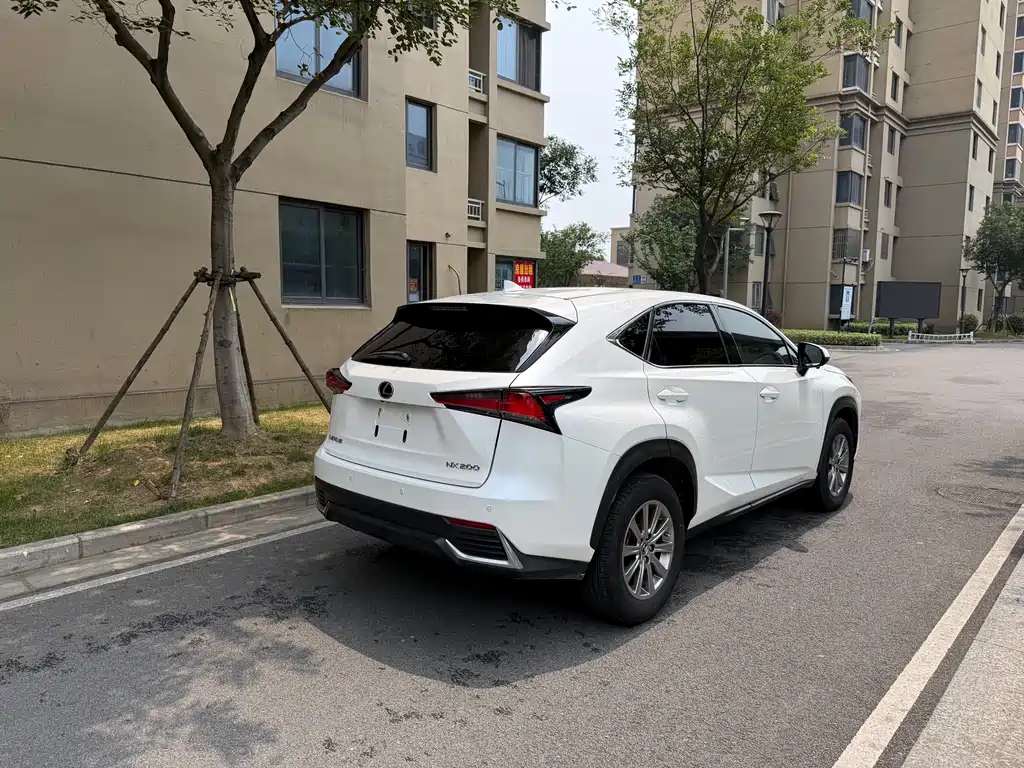 Lexus NX 2019 — фото 10