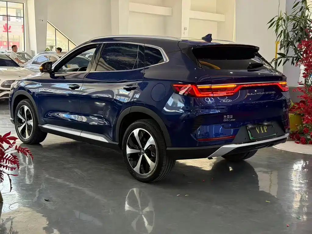 BYD PLUS New Energy 2022 — фото 9