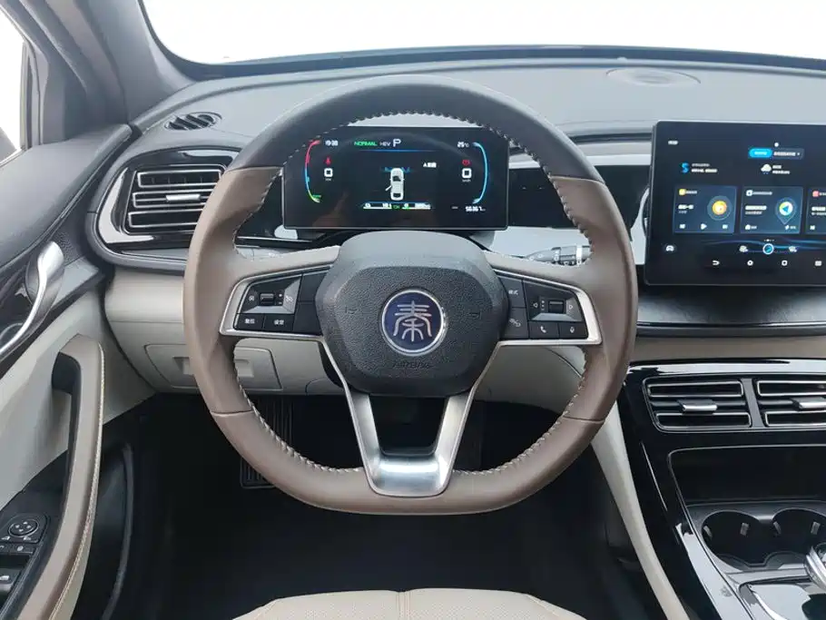 BYD Qin PLUS 2024 — фото 15