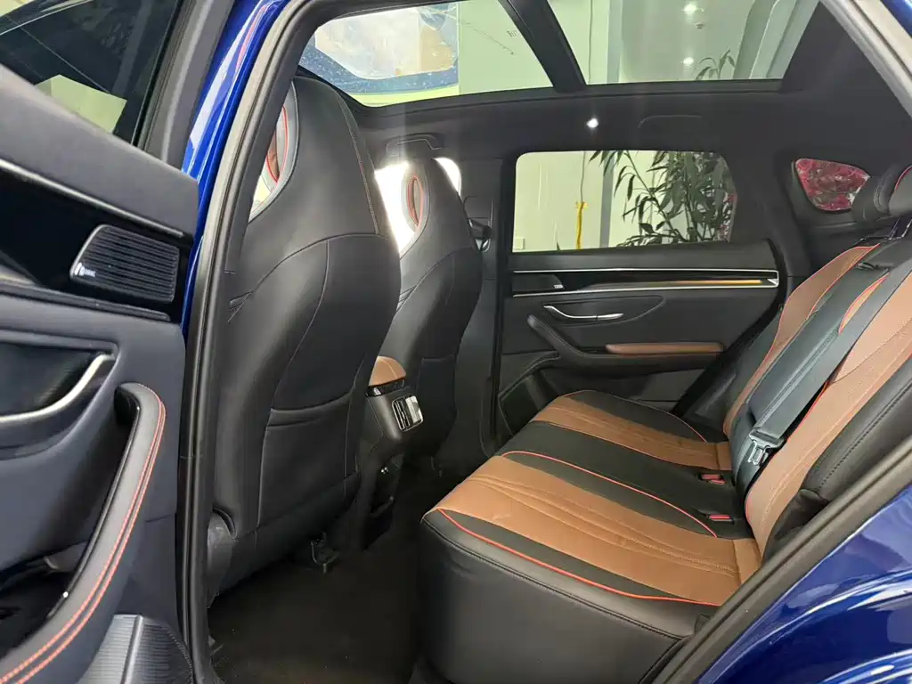 BYD PLUS New Energy 2022 — фото 6