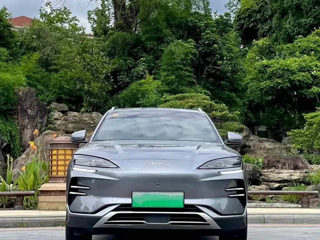 BYD Song PLUS New Energy 2024 — фото 1