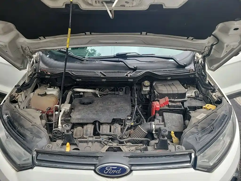Ford Ecosport 2015 — фото 17