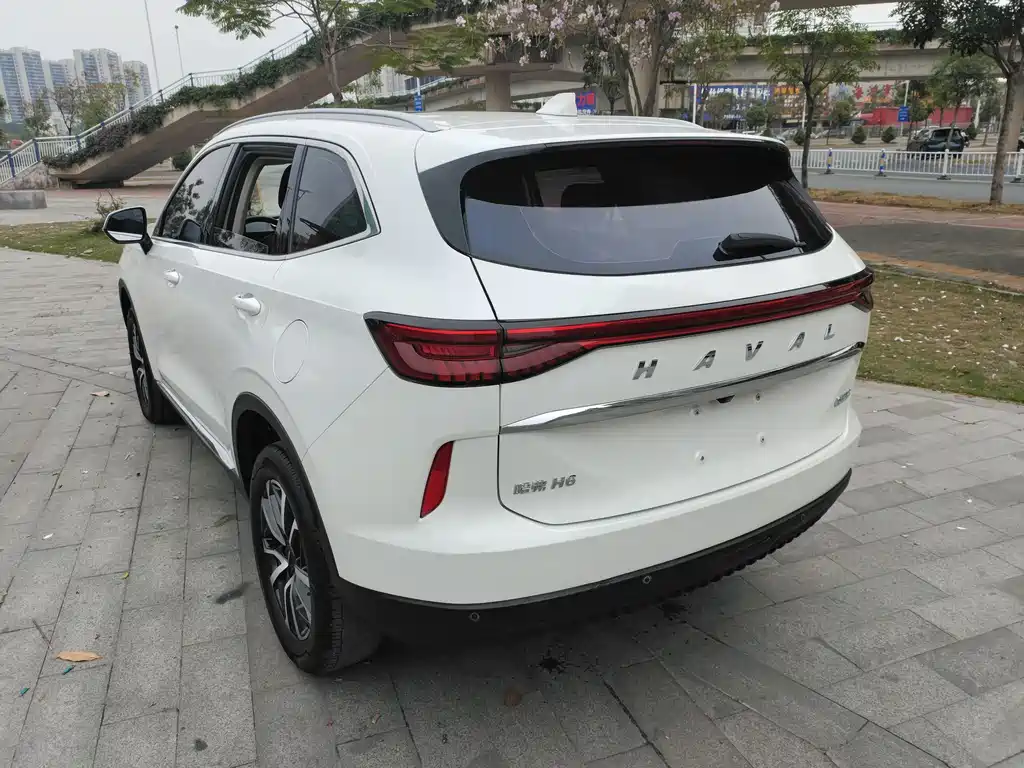 Haval H6 2020 — фото 11