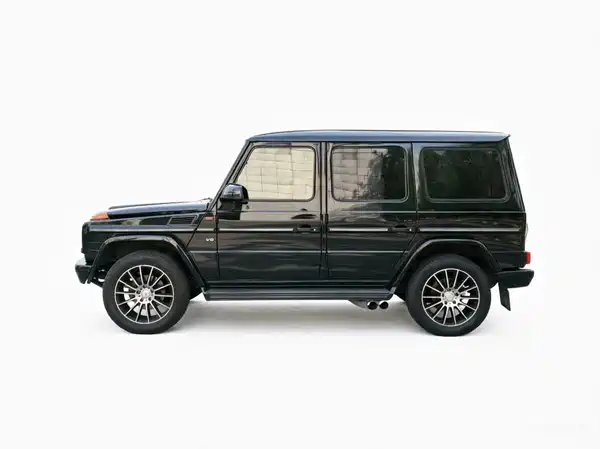 Mercedes-Benz G-Class 2010