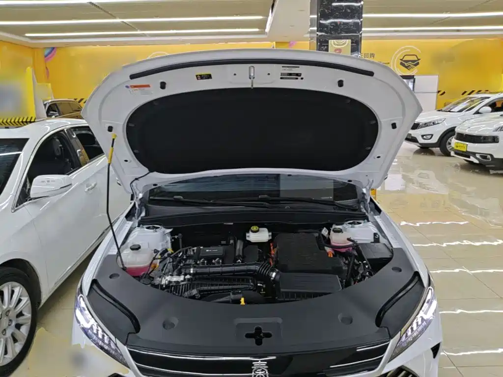 BYD Qin PLUS 2025 — фото 20