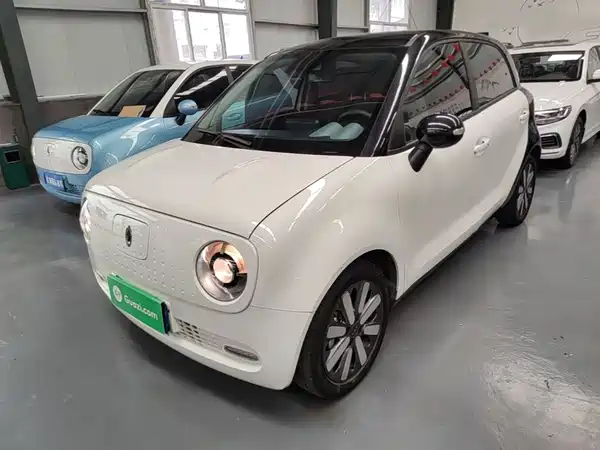 Ora Black Cat 2021