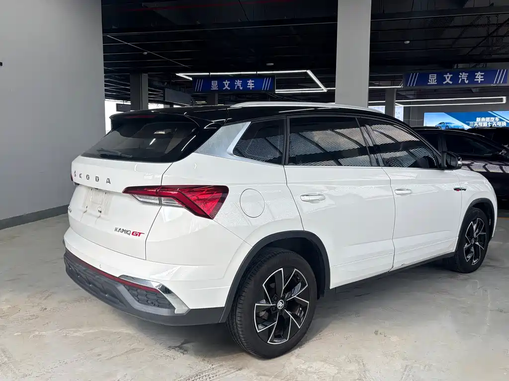 Skoda Kamiq 2020 — фото 8
