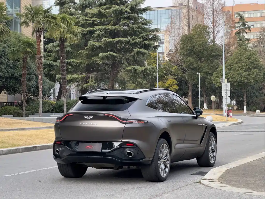 Aston Martin DBX 2021 — фото 6