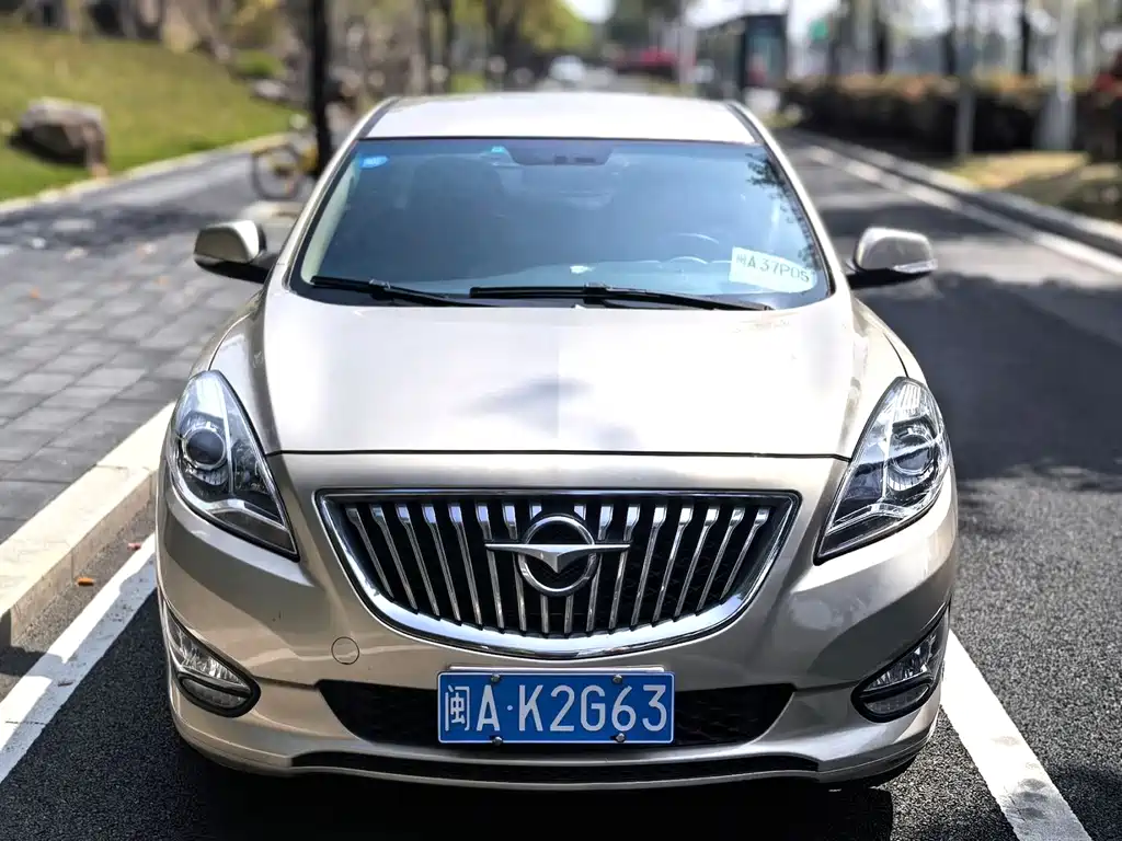 Haima Vanda Electric 2015 — фото 20