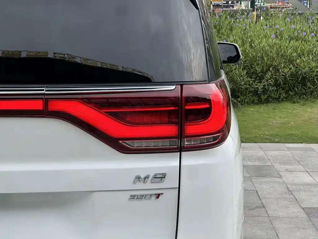 GAC Trumpchi M8 2021 — фото 8