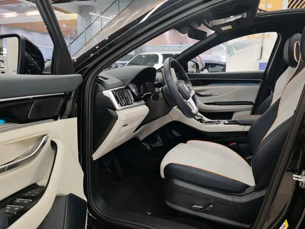 BYD Song PLUS New Energy 2023 — фото 7