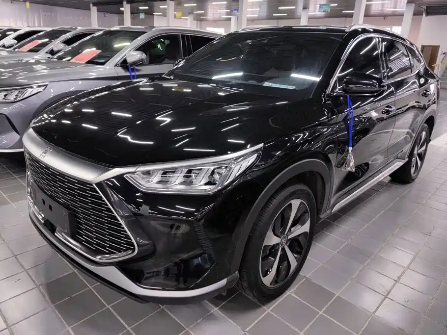 BYD Song PLUS New Energy 2023 — фото 1