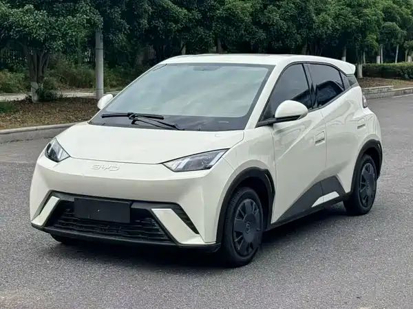 BYD Seagull 2025