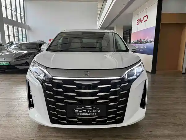 BYD Summer 2025