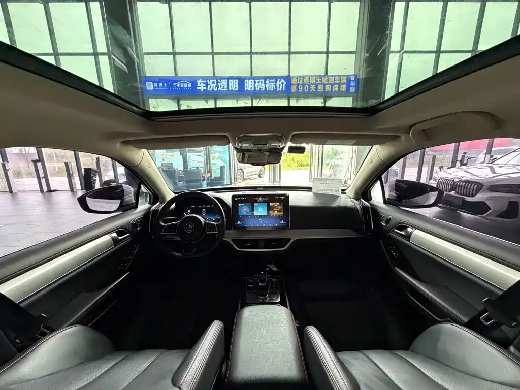 BYD Tang New Energy 2019 — фото 20