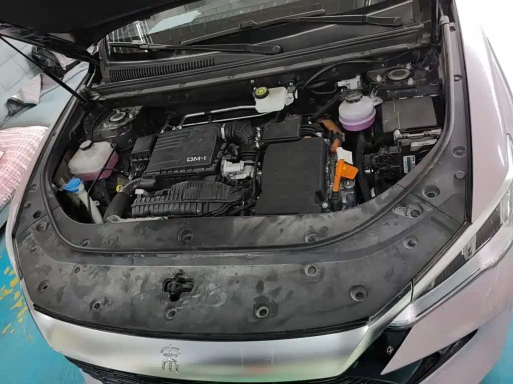 BYD Pro New Energy 2024 — фото 20