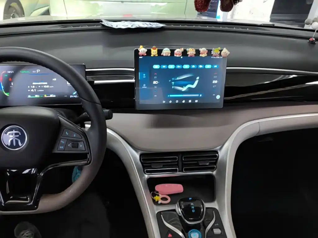 BYD Pro New Energy 2024 — фото 10