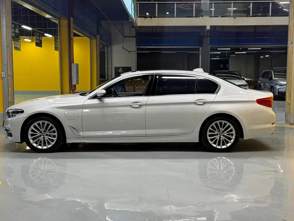 BMW 5 Series New Energy 2020
