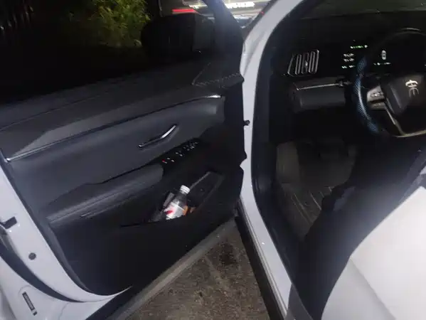 BYD Song Pro New Energy 2026