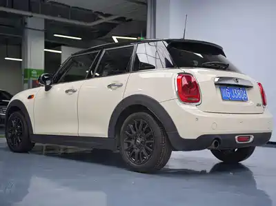MINI MINI 2015
