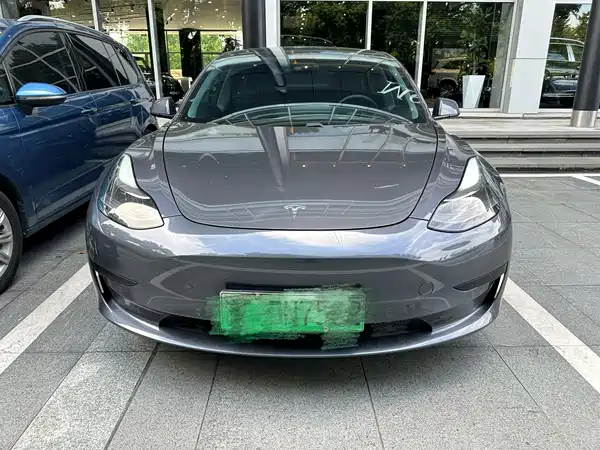 Tesla Model 3 2021