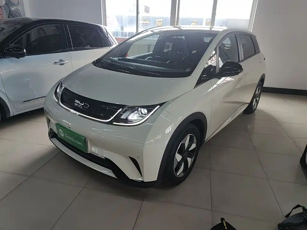 BYD Dolphin 2024 — фото 1