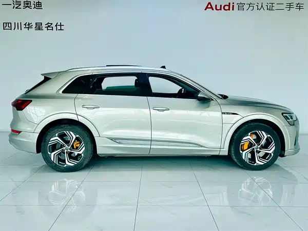 Audi e-tron 2021