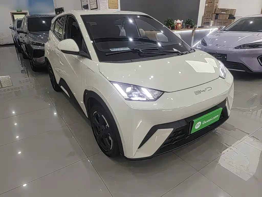 BYD Seagull 2024
