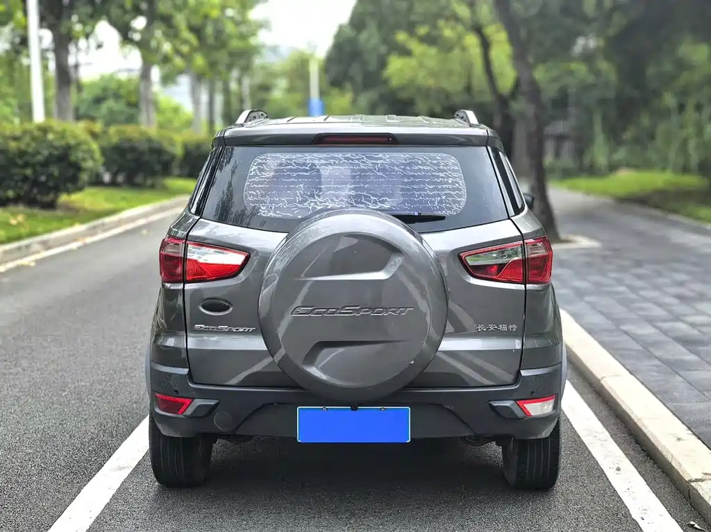 Ford EcoSport 2013 — фото 2