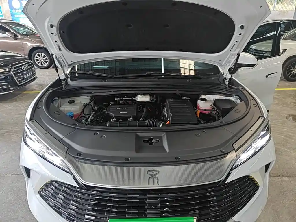 BYD L DM-i 2024 — фото 20