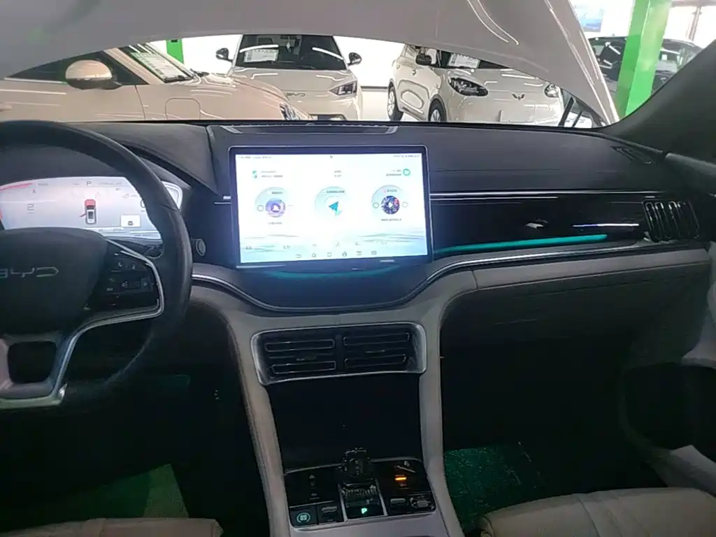 BYD Song PLUS New Energy 2024 — фото 13