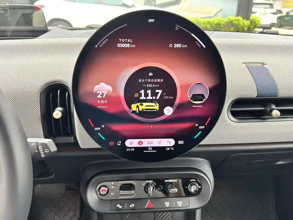 MINI MINI 2024