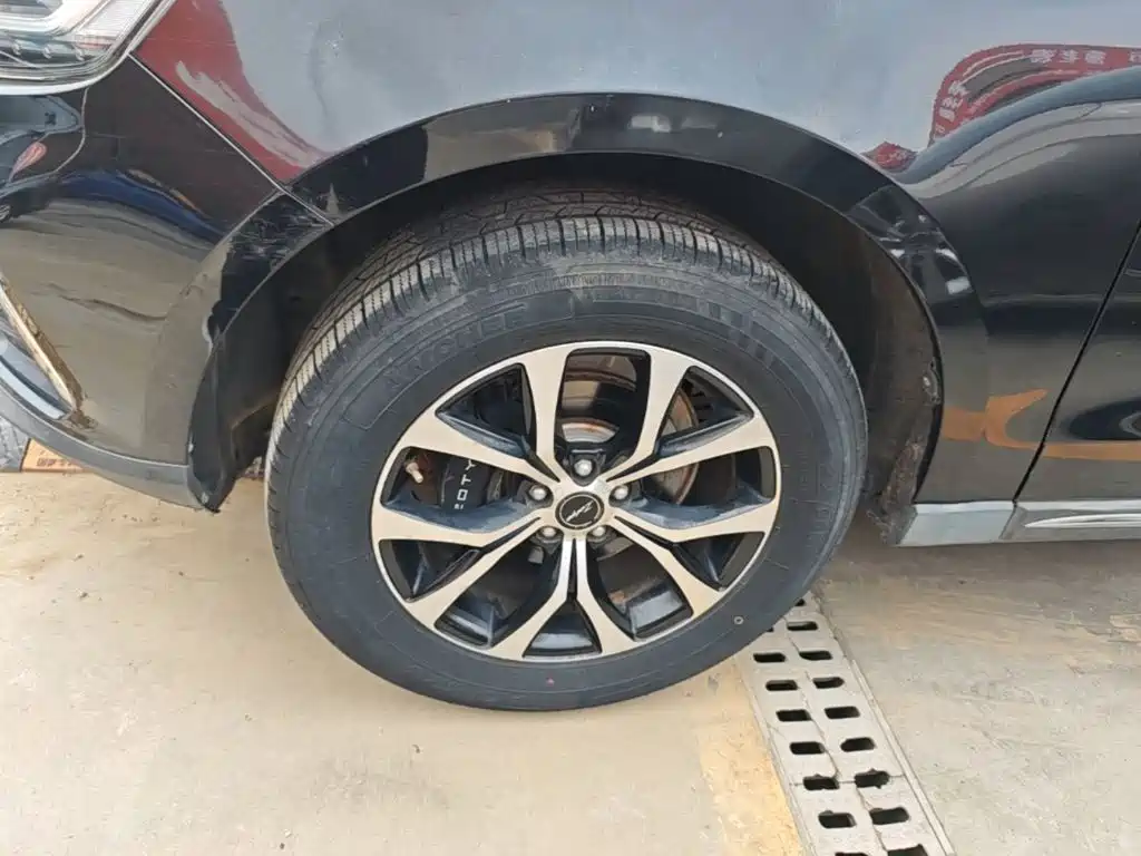 Zotye T600 Coupe 2018 — фото 23
