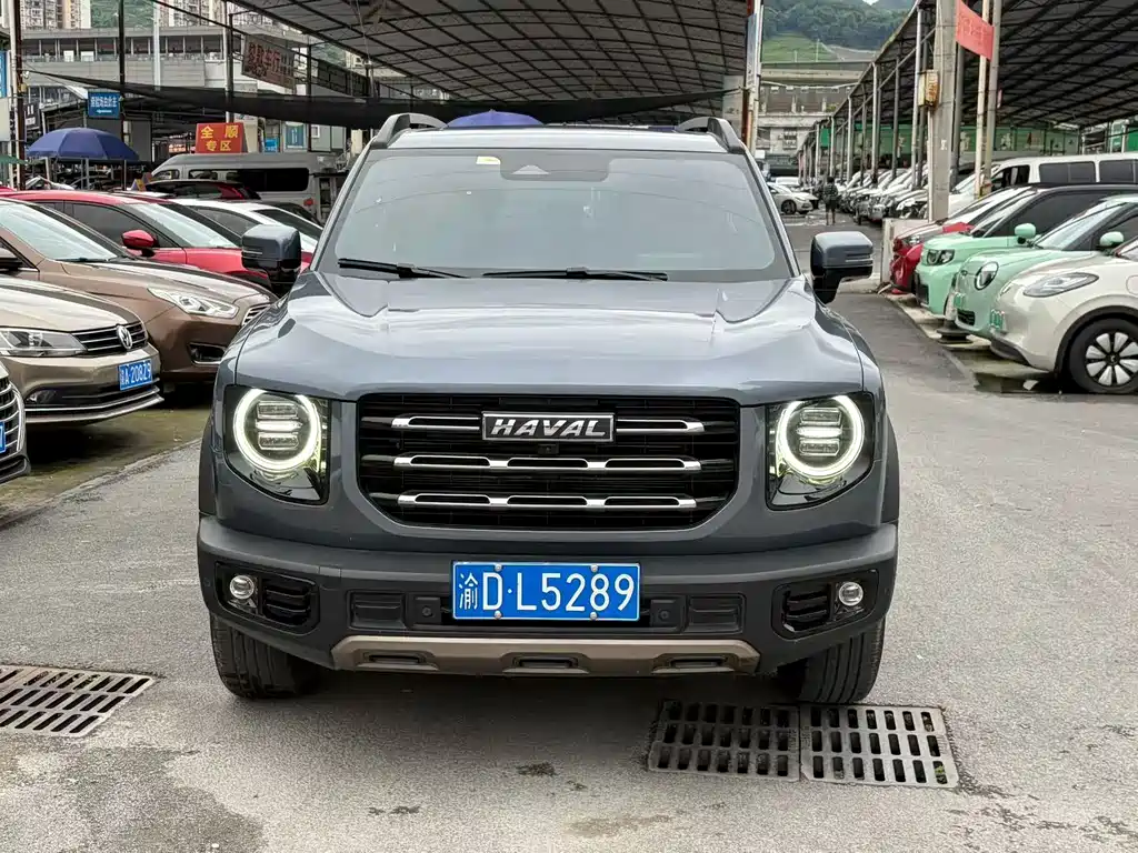 Haval Big Dog 2021 — фото 2