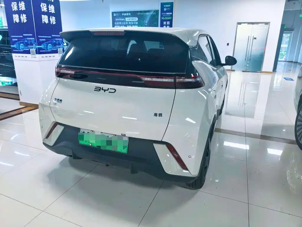 BYD Seagull 2024
