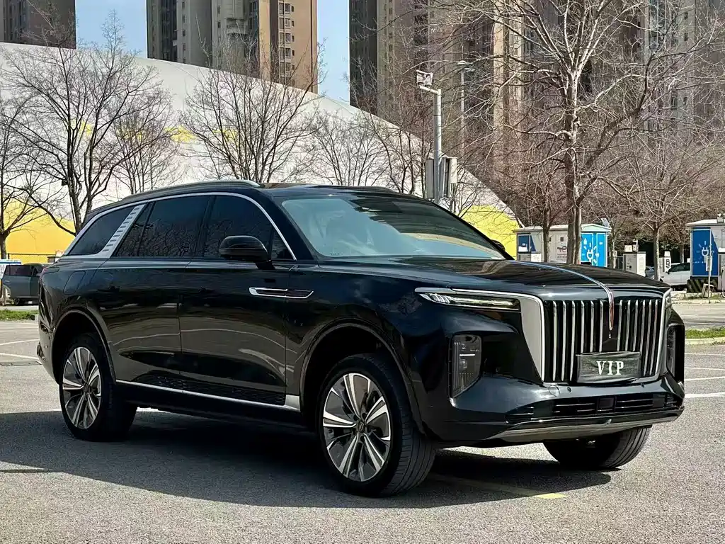 Hongqi E-HS9 2021 — фото 3