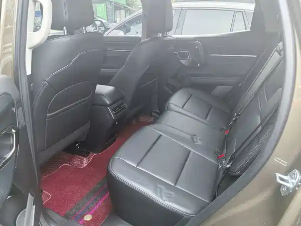 Haval Dog PLUS 2024