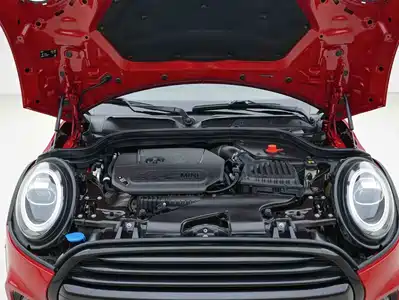 MINI MINI 2020