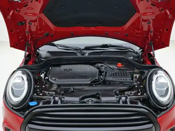 MINI MINI 2020