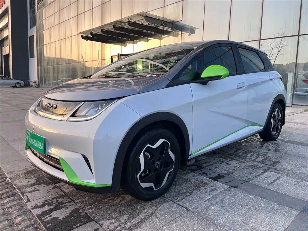 BYD Dolphin 2021