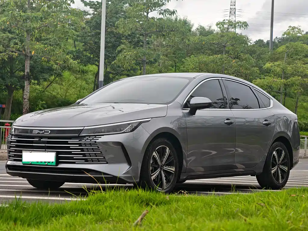 BYD Destroyer 05 2022 — фото 1