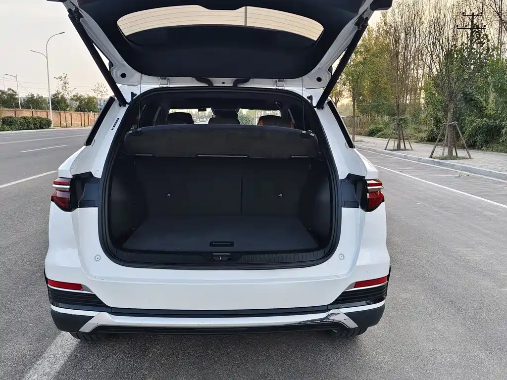 BYD Pro New Energy 2023 — фото 13