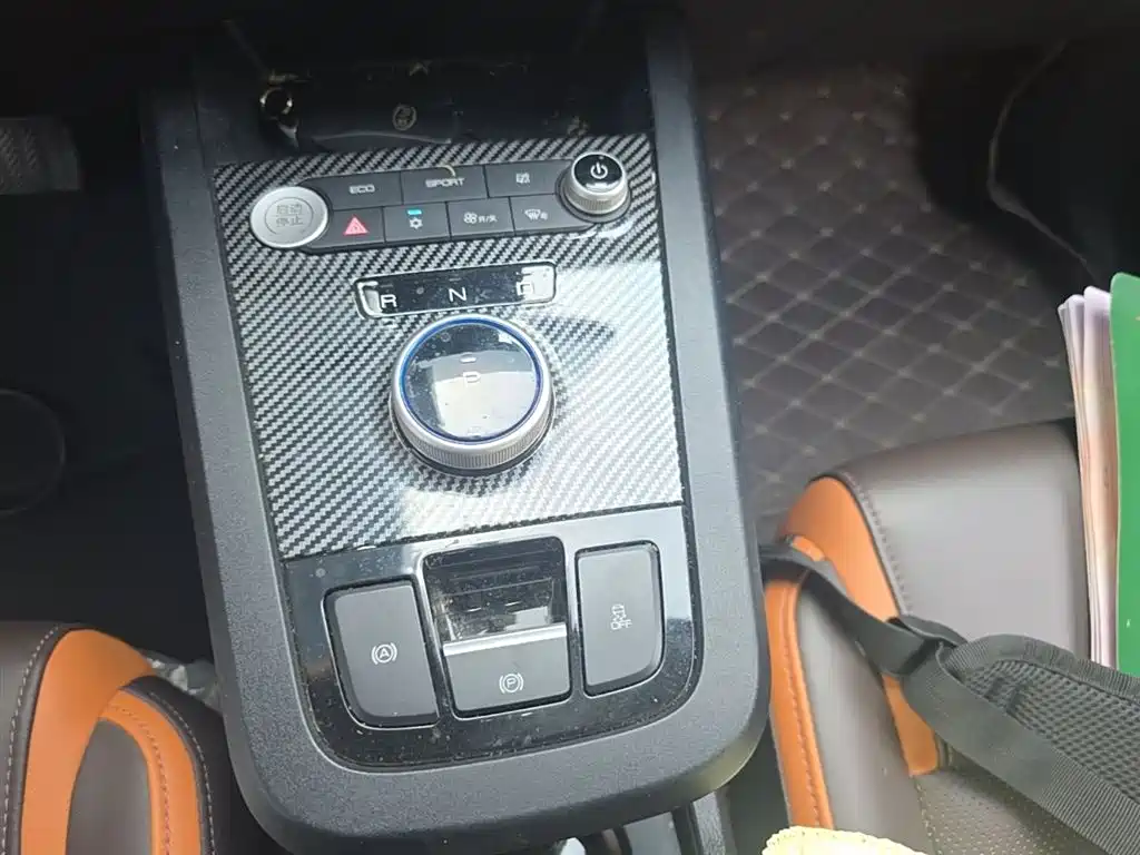 BYD e2 2020