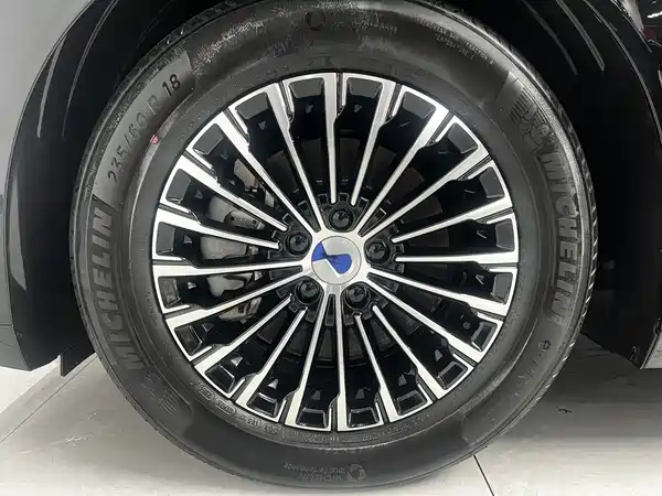 Denza D9 2024