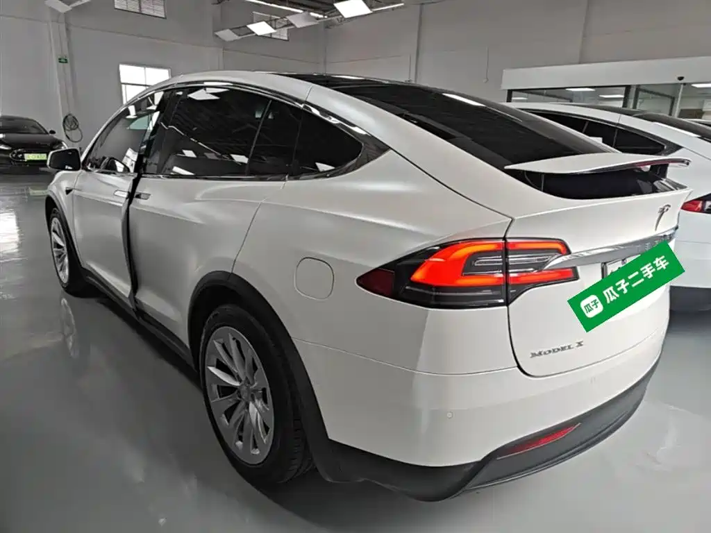 Tesla Model X 2019 — фото 5